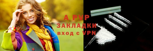 стафф Медногорск