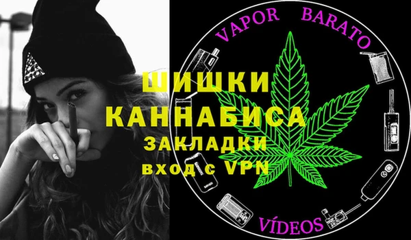 стафф Медногорск