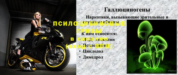стафф Медногорск