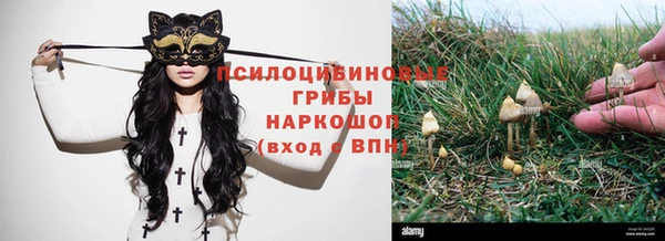 дживик Медвежьегорск