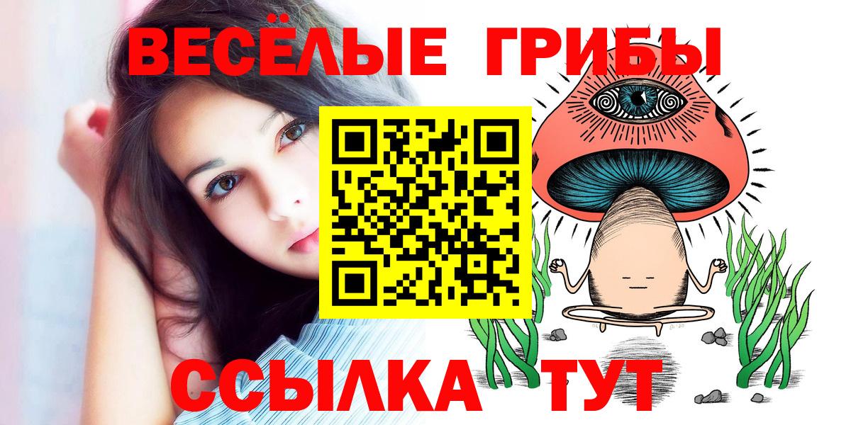 Галлюциногенные грибы Psilocybine cubensis  Минеральные Воды 