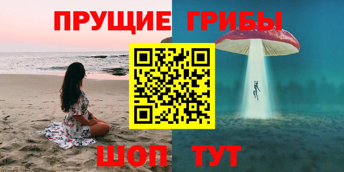 Псилоцибиновые грибы прущие грибы Минеральные Воды