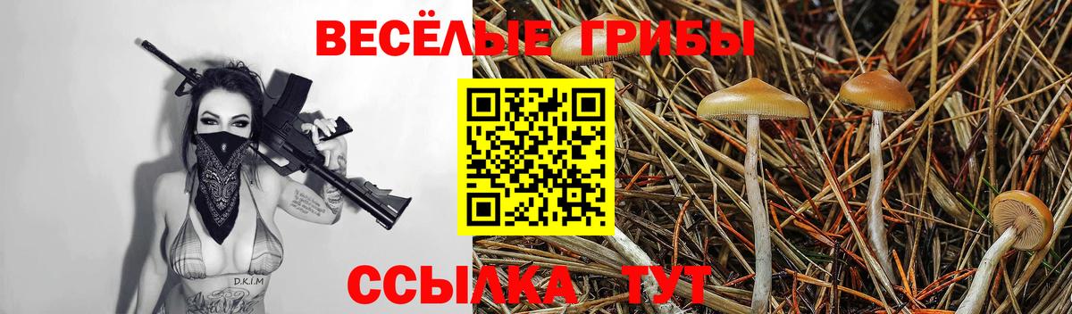 Псилоцибиновые грибы Psilocybine cubensis Минеральные Воды